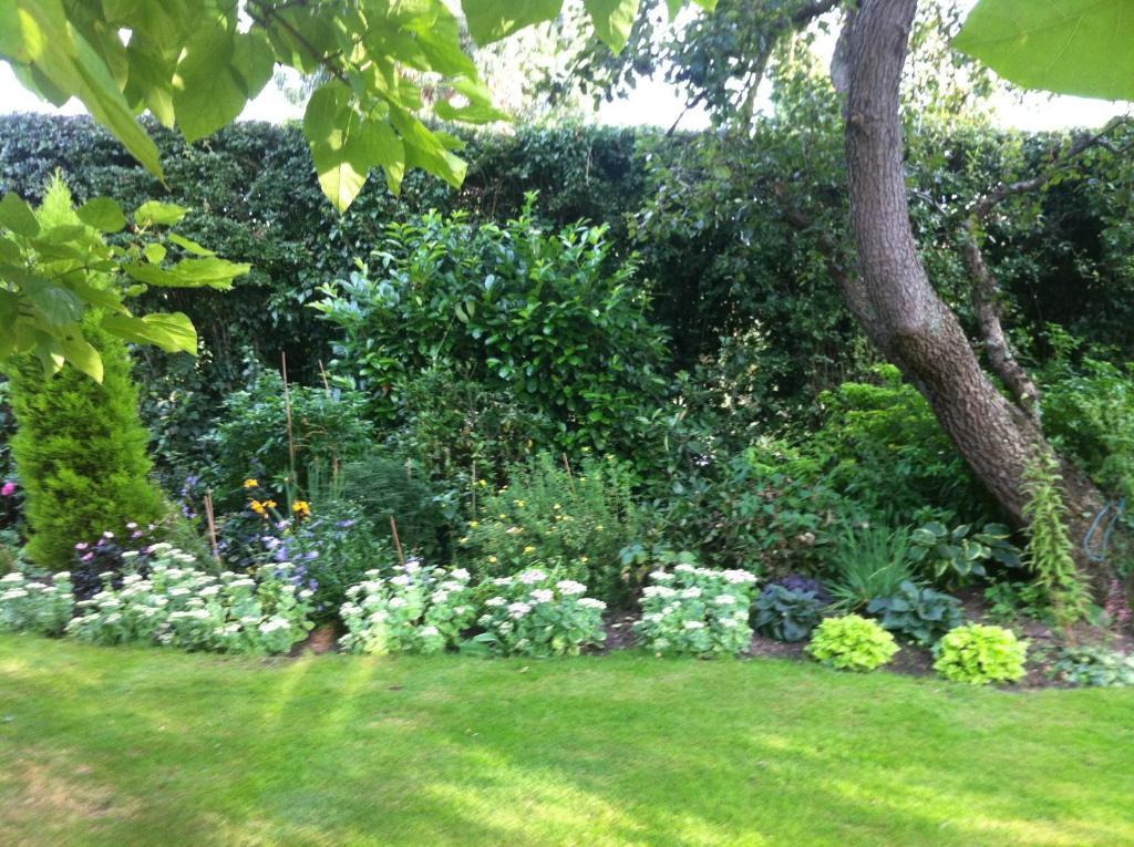 Bonningtons Stansted Self Catering Hotel Stansted Mountfitchet Bilik gambar